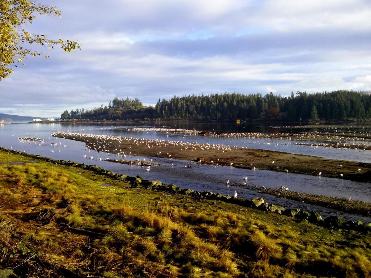 Pioneer Inn By The River Port Hardy Eksteriør bilde